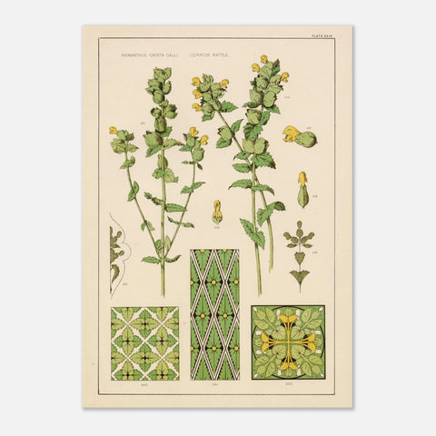 ba5a03db-50c9-4870-9ed1-4690818f2e42