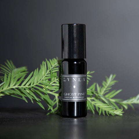 GHOST PINE Pine Needles, Wet Leaves, Moss, Wood - Botanical Perfume Oil